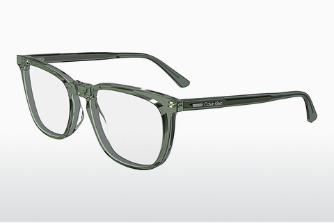 Óculos de design Calvin Klein CK24519 300