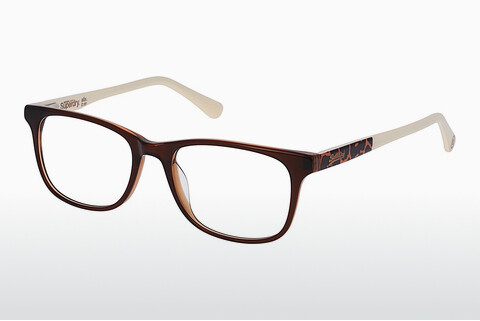 Óculos de design Superdry SDO Alix 181