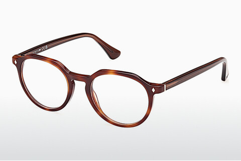 Óculos de design Web Eyewear WE5427 056