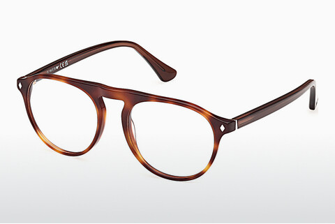 Óculos de design Web Eyewear WE5429 056