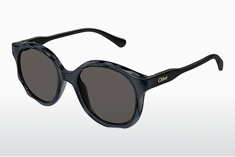 Óculos de marca Chloé CC0019S 001