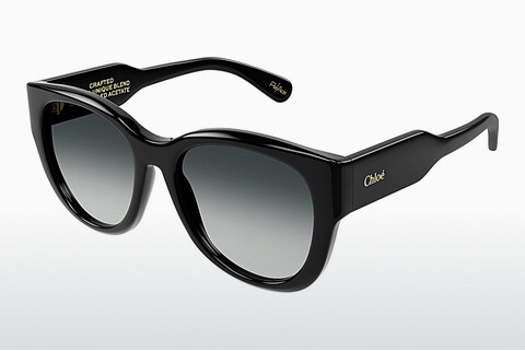 Óculos de marca Chloé CH0192S 001
