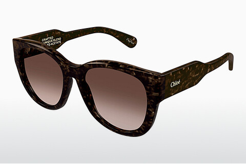 Óculos de marca Chloé CH0192S 002