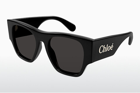 Óculos de marca Chloé CH0233S 001