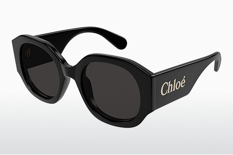 Óculos de marca Chloé CH0234SK 001