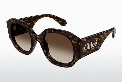 Óculos de marca Chloé CH0234SK 002
