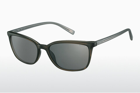 Óculos de marca Esprit ET40004 505