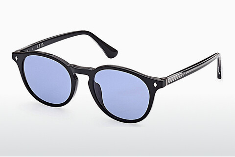 Óculos de marca Web Eyewear WE0328 05A