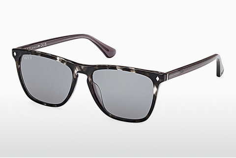 Óculos de marca Web Eyewear WE0363 20V