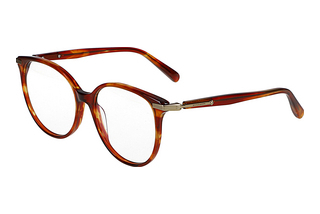 Scotch and Soda 503020 102 Brown