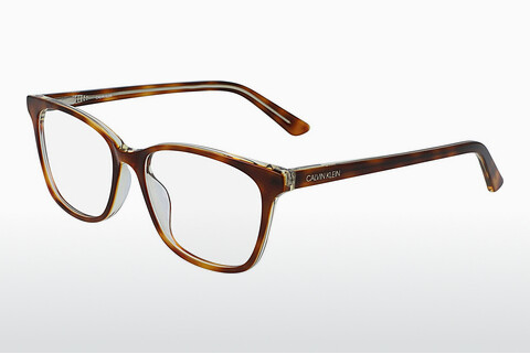 Óculos de design Calvin Klein CK20509 241