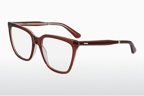 Óculos de design Calvin Klein CK23513 601