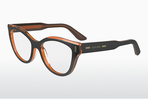 Óculos de design Calvin Klein CK23541 008