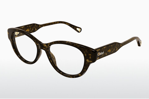 Óculos de design Chloé CH0199O 007