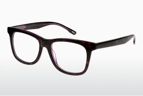 Óculos de design Levis LS120 03