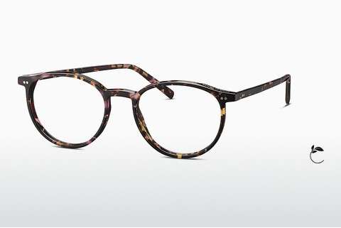 Óculos de design Marc O Polo MP 503230 65