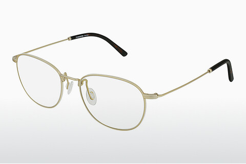 Óculos de design Rodenstock R2617 B