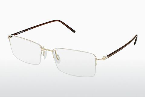 Óculos de design Rodenstock R7074 D
