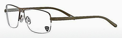 Óculos de design Strellson Chester (ST1036 401)