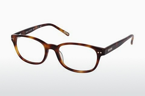 Óculos de design Strellson ST1257 555