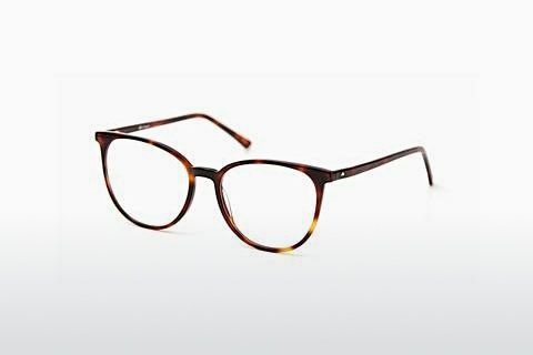 Óculos de design Sur Classics Giselle (12521 havana)
