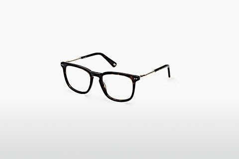 Óculos de design Web Eyewear WE5349 052