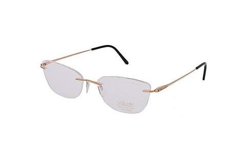 Óculos de design Silhouette Atelier G025/AK D1E8