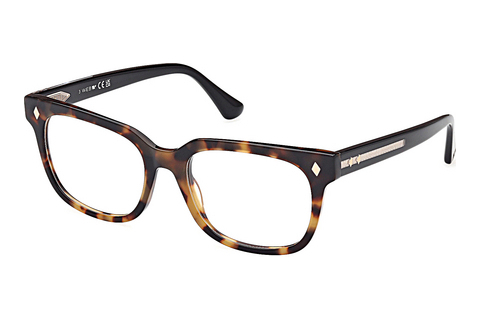 Óculos de design Web Eyewear WE5397 052