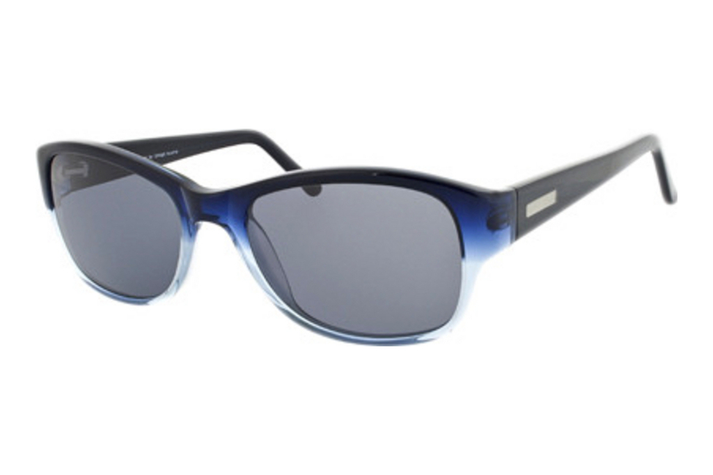 HIS Eyewear   2507 10H greyblue gradient