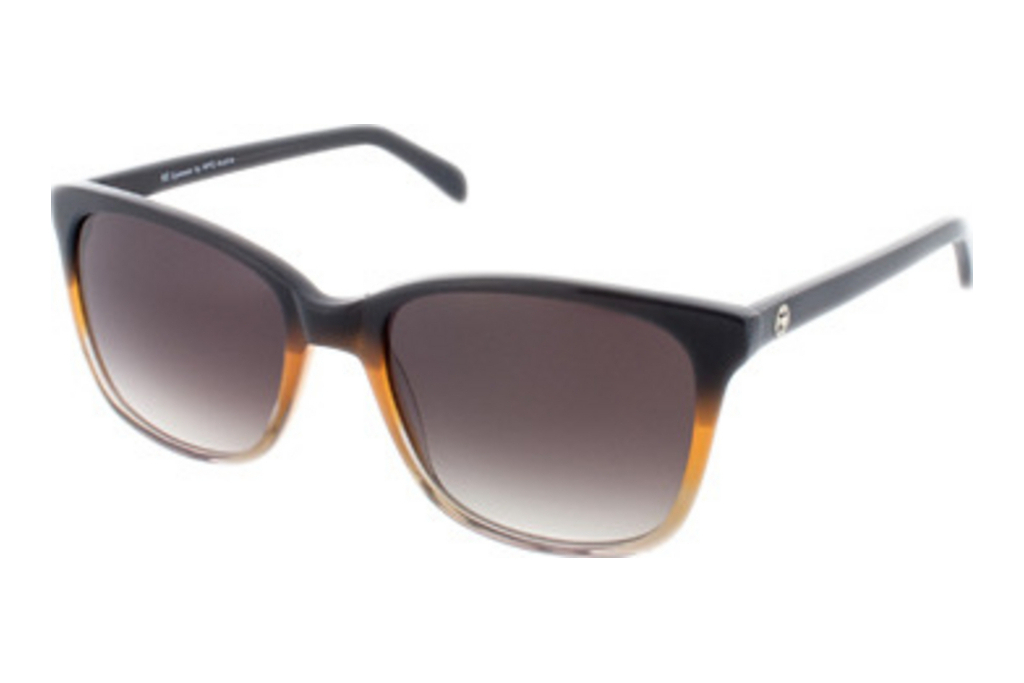 HIS Eyewear   HS318 005 gradient brownblack-brown gradient