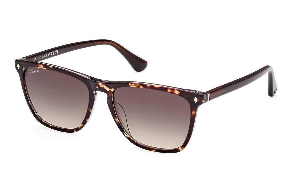 Web Eyewear   WE0363 56B grau verlaufendBunt Havanna