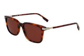 Lacoste L6035S 214 BROWN HAVANA