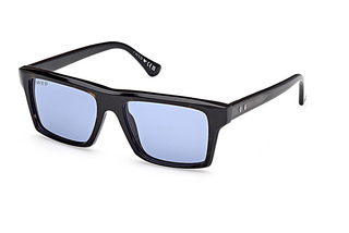 Web Eyewear WE0383 56V