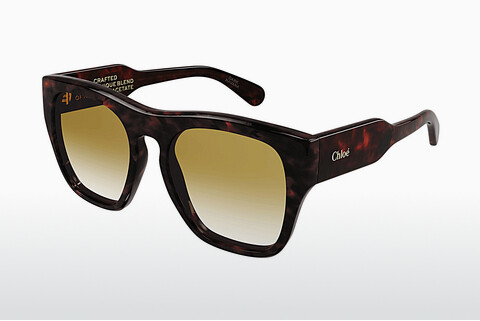Óculos de marca Chloé CH0149S 002