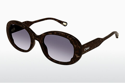 Óculos de marca Chloé CH0197S 002