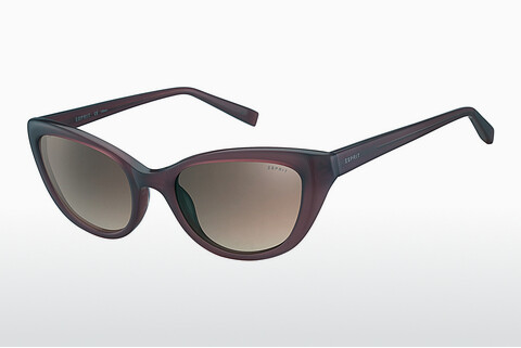 Óculos de marca Esprit ET40002 577