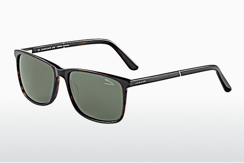 Óculos de marca Jaguar 37120 8940