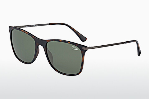 Óculos de marca Jaguar 37611 8940