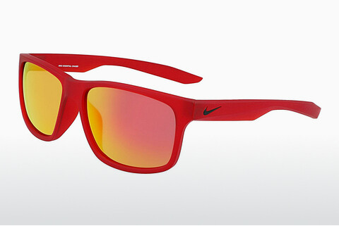 Óculos de marca Nike NIKE ESSENTIAL CHASER M EV0998 657