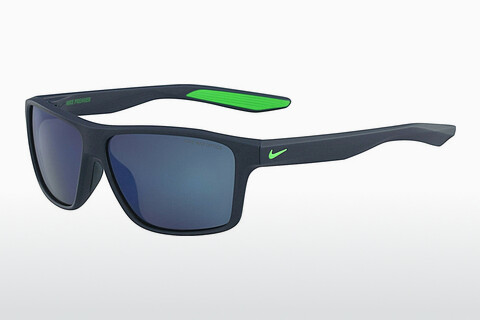Óculos de marca Nike NIKE PREMIER M EV1072 434