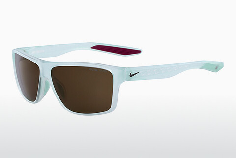 Óculos de marca Nike NIKE PREMIER SE EV1163 362