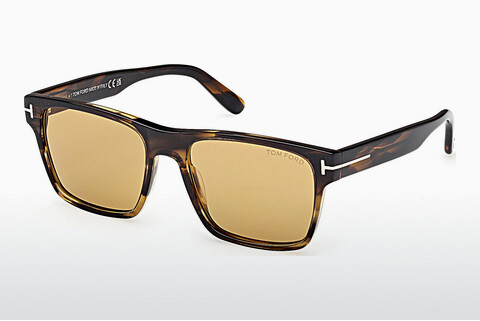 Óculos de marca Tom Ford Calder (FT1205 56E)