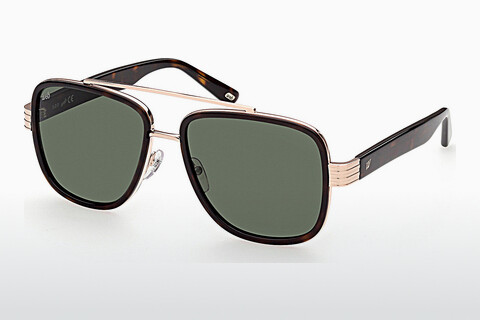 Óculos de marca Web Eyewear WE0318 28N