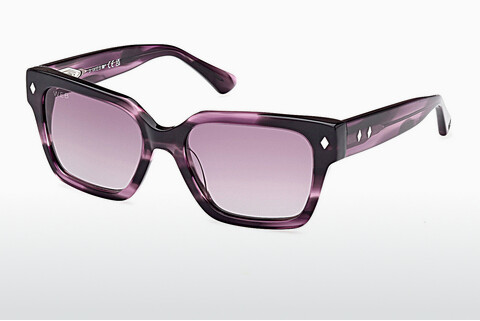 Óculos de marca Web Eyewear WE0351 83Z