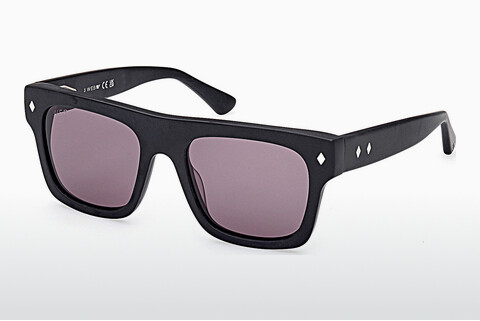 Óculos de marca Web Eyewear WE0354 02A