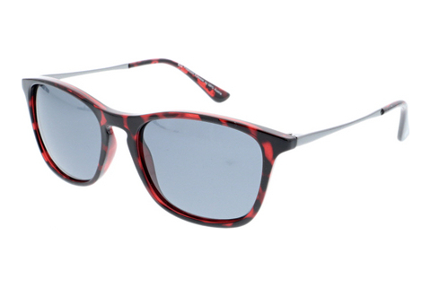 Óculos de marca HIS Eyewear HPS90104 4