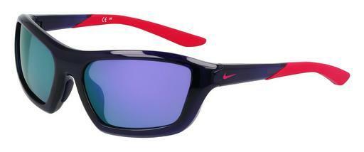 Óculos de marca Nike NIKE BRAZER M FV2401 500