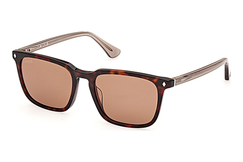 Óculos de marca Web Eyewear WE0369 56E