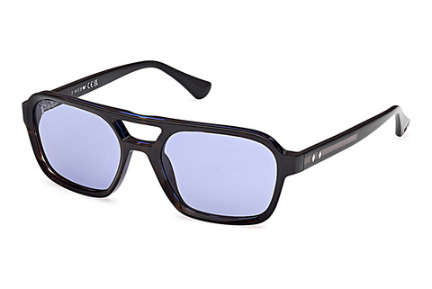 Óculos de marca Web Eyewear WE0376 56V