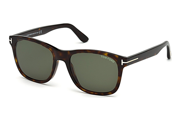 Óculos de marca Tom Ford Eric-02 (FT0595 52N)